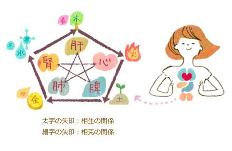 五行美人|めざせ！「五行美人」～五行で知る、自分の性質・体。